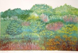 Duinen III/ Dunes III