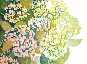 Hortensia, midden rechts/Hydrangea, middle right