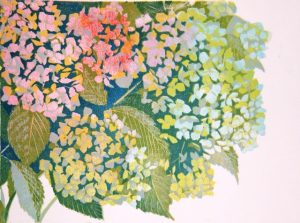 Hortensia, onder rechts/Hydrangea, bottom right