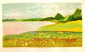 Gotland, Vägumeviken