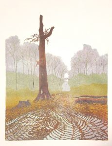 Boekesteijn, kraamkamer van de rosse vleermuis/Boekesteijn, bat's delivery room