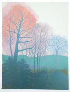 Boekesteijn, mistige morgen/Boekesteijn, misty morning