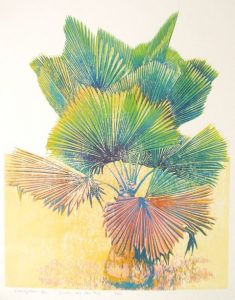 Waaierpalm / The fan palm