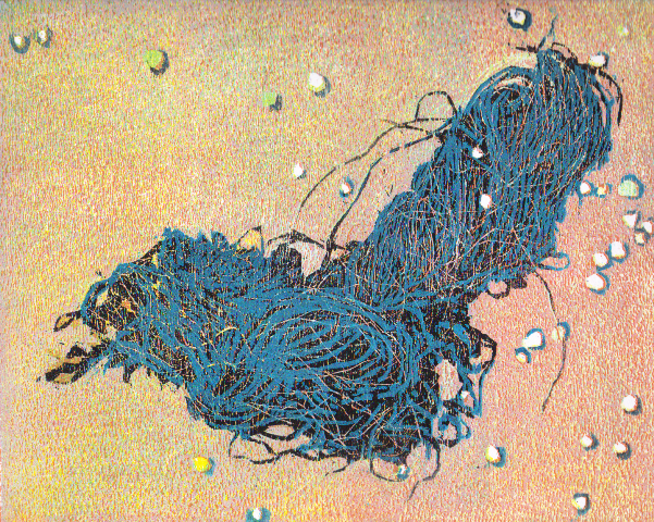 Strandvondsten III-kluwen