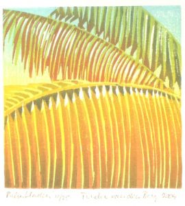 Palmbladeren / Palm leaves