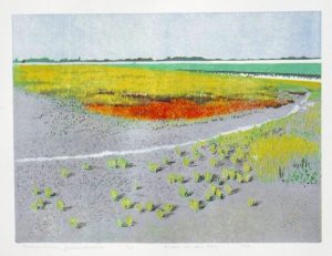 Paezemerlannen, pioniersvegetatie / pioneer species