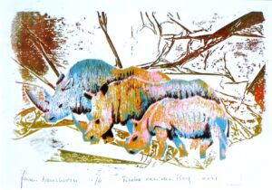 fam. Neushoorn/fam. Rhino